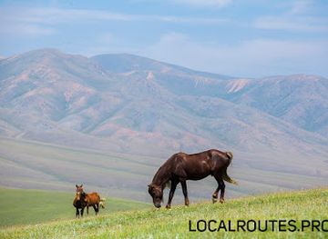 kazakhstan/assy-plateau/landmark/asy-plateau