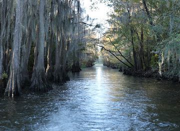 louisiana/caddo-lake/landmark/mystique-tours-on-caddo-lake