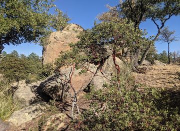 arizona/prescott-national-forest/landmark/stricklin-park