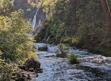 california/shasta-cascade/landmark/shasta-trinity-national-forest