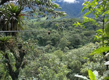 ecuador/mindo-cloud-forest/landmark/mindo-ziplines-tour-cia