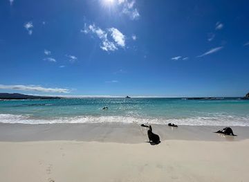 ecuador/puerto-baquerizo-moreno/landmark/scuba-eden