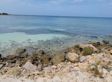 aruba/natural-pool/landmark/butterfly-farm