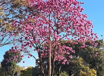 brazil/brasilia/asa-norte/landmark/eixao-do-lazer-norte