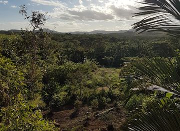 new-caledonia/la-foa/landmark/la-table-du-banian