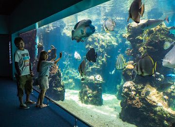 new-caledonia/sarramea/landmark/lagoon-aquarium