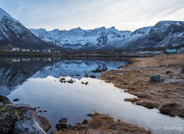 norway/tromso/landmark/wandering-owl
