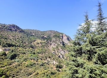 lebanon/cedars-of-god/landmark/qadisha