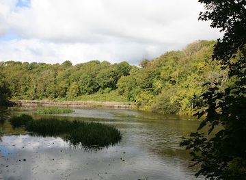 united-kingdom/dyfed/attraction/bosherston-lily-ponds-2