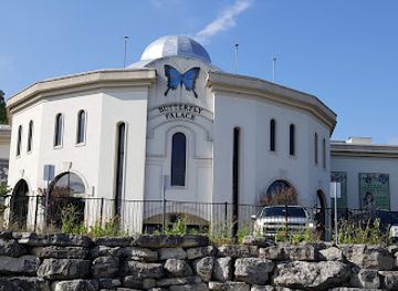 missouri/branson/landmark/the-butterfly-palace-rainforest-adventure