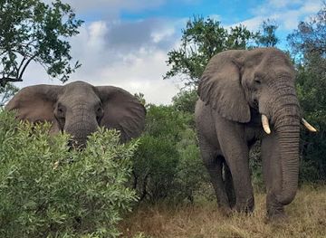 south-africa/elephant-coast/landmark/isimangaliso-wetland-park