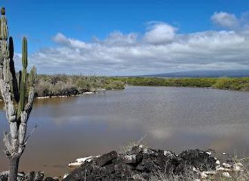 ecuador/galapagos-islands/landmark/los-tunos