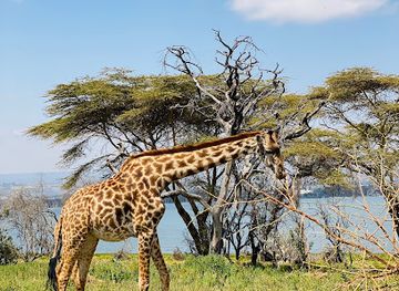 kenya/amboseli-national-park/landmark/cresent-island