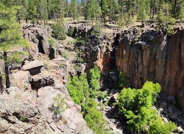 arizona/kaibab-national-forest/landmark/sycamore-falls