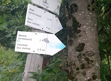 ukraine/carpathian-mountains/landmark/wooded-carpathians