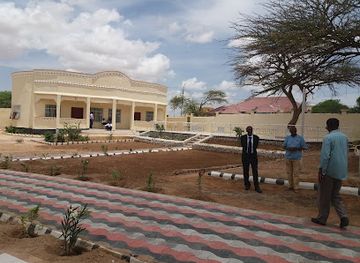 somalia/togdheer/landmark/saryan-museum