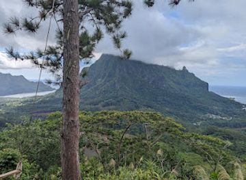 french-polynesia/moorea/landmark/three-pines-lookout