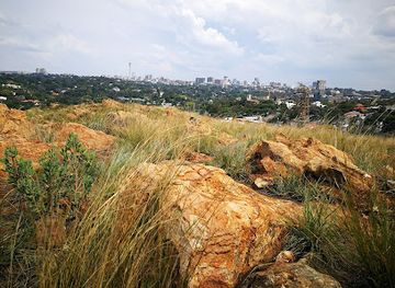 south-africa/johannesburg/landmark/melville-koppies-nature-reserve