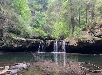 tennessee/sequatchie-valley/landmark/grundy-forest-state-natural-area-at-south-cumberland-state-park
