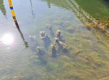 denmark/hillerod/landmark/agnete-and-the-merman-statue