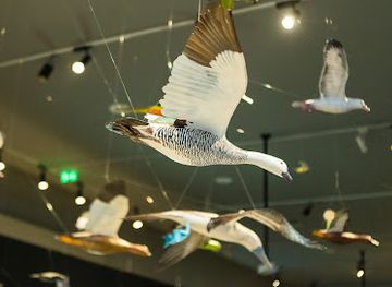 chile/metropolitan-region-of-santiago/landmark/la-moneda-cultural-center