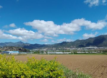 dominican-republic/constanza/landmark/fresas-ariyama