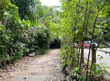 singapore/bukit-timah-nature-reserve/landmark/bukit-timah-mountain-bike-trail