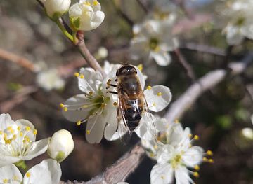morocco/atlas-mountains/landmark/atlas-springs