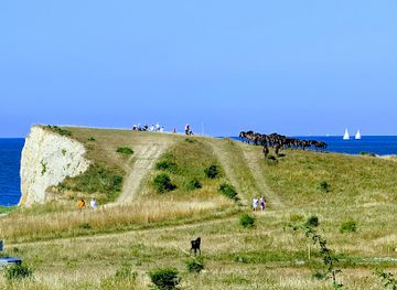 denmark/langeland/landmark/vilde-heste