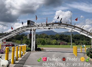tennessee/pigeon-forge/landmark/goats-on-the-roof-of-the-smoky-mountains
