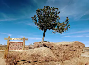 Tree In The Rock, Historical Site