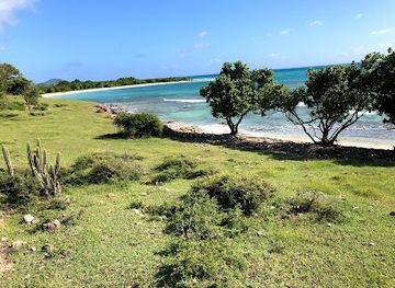 antigua-and-barbuda/jolly-harbour/landmark/fort-johnson-s-point