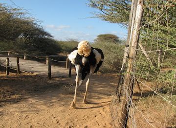 djibouti/tadjoura/landmark/decan-refuge