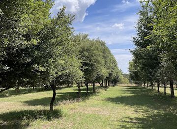 australia/mallee/landmark/black-cat-truffles-by-liam-downes