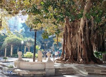 spain/alicante/landmark/pl-gabriel-miro