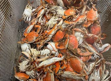 louisiana/houma/landmark/luke-s-boiling-point