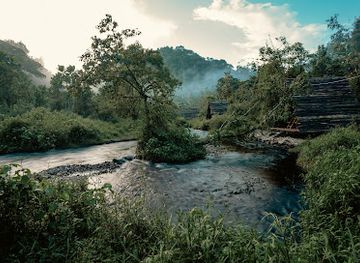 rwanda/gitarama/landmark/nyungwe-national-park-rwanda