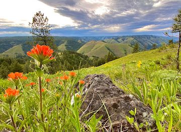 oregon/umatilla-county/landmark/whitman-route-interpretive-site