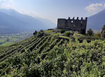italy/valtellina/landmark/strada-del-vino-della-valtellina