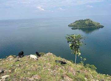 rwanda/western-province/landmark/birdwatching-boat-tours-kayaking