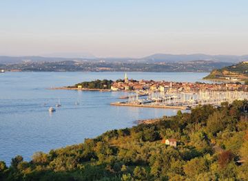 slovenia/sava/landmark/plaza-simonov-zaliv