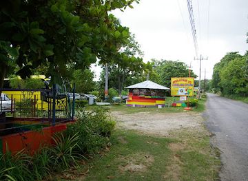 jamaica/pedro-plains/landmark/bubbling-spring-mineral-bath
