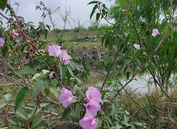mexico/matamoros/landmark/tomar-fotos