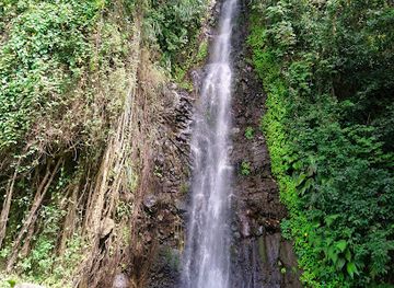 saint-vincent-and-the-grenadines/chateaubelair/landmark/dark-view-falls