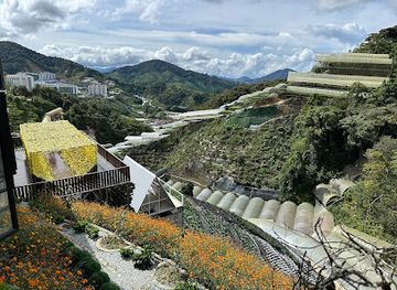 malaysia/cameron-highlands/landmark/cameron-highlands-flora-park