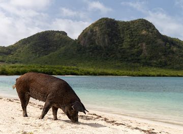 antigua-and-barbuda/bolands/landmark/seaforth-beach