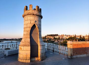 spain/badajoz/landmark/puente-de-palmas