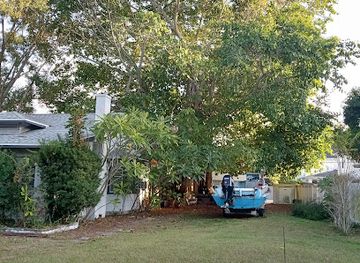 florida/st-petersburg/landmark/2nd-best-tree-in-crescent-heights
