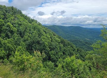 virginia/blue-ridge-parkway/landmark/blue-ridge-pkwy-south