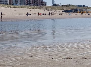 netherlands/egmond-aan-zee/landmark/strand-egmond-aan-zee